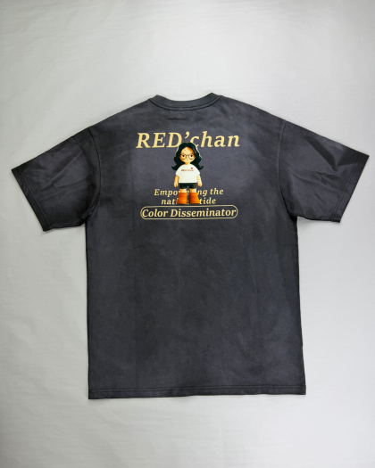 Vintage wash t-shirt with cracked screen print graphic
